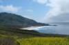 closerviewtowardbigsur_small.jpg