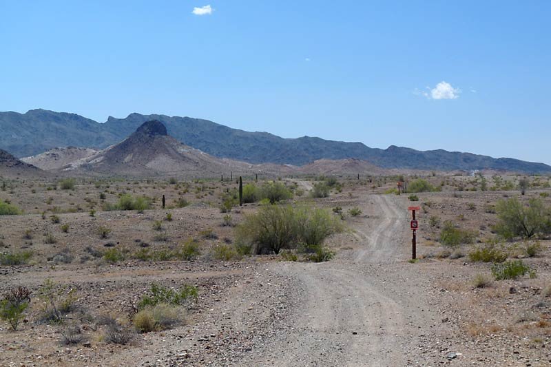 desertroads.jpg