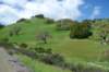 emeraldhills_small.jpg