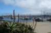 marinaatcanneryrow_small.jpg