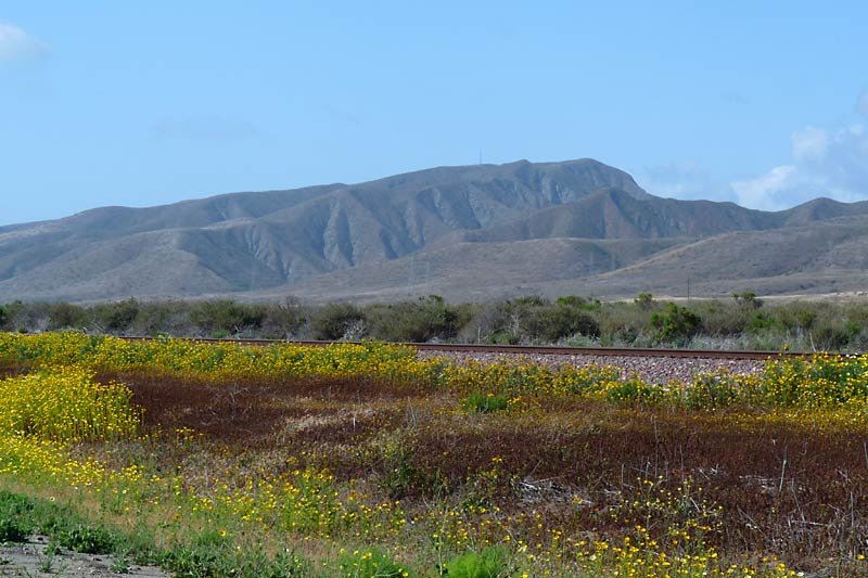 nearingcamppendleton.jpg