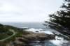 pointlobos_small.jpg
