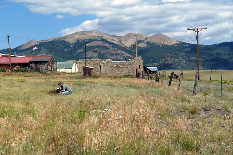 fieldsofcomo.jpg