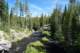 thesnakeinyellowstone_small.jpg