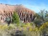 _cathgorflwr_700x525_web_small.jpg
