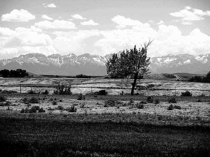 _colorado_700x5257.jpg