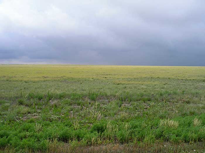 _kansas_700x525.jpg
