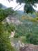 _kentucky_525x7002_small.jpg