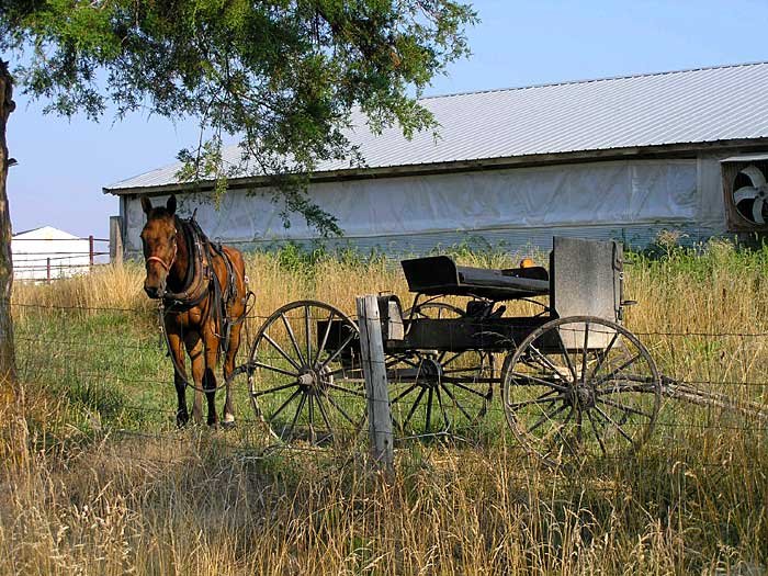 _missouri_700x5254.jpg
