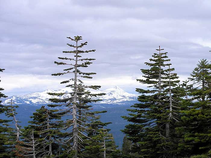 _sierrapeaks_700x525_web.jpg