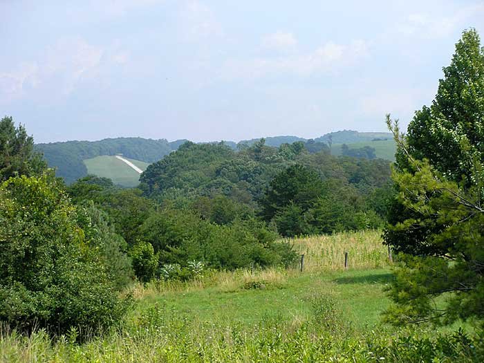 _virginia_700x52521.jpg