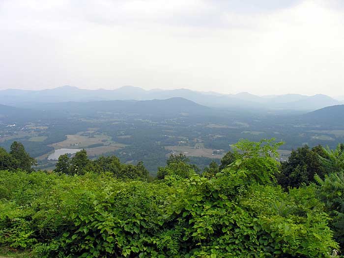 _virginia_700x52524.jpg